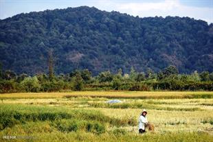 Gilan Province